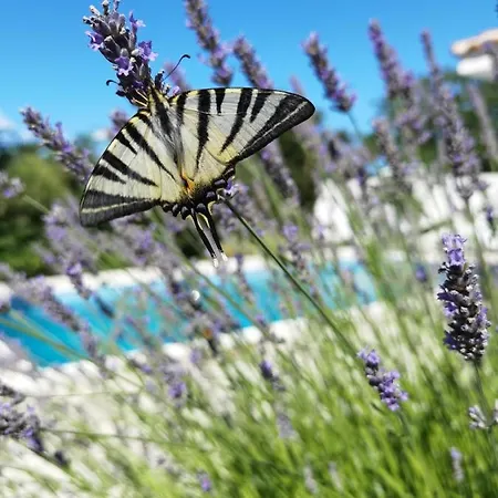 Homes Sintija بيت للعطل *