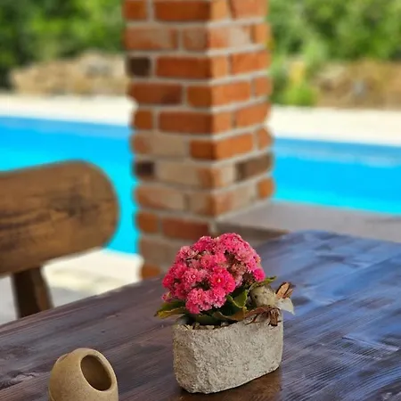 Homes Sintija